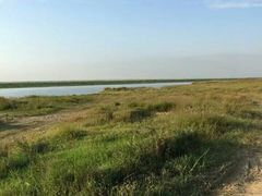 -鄱阳湖国家湿地公园