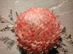 -马旺子·川小馆