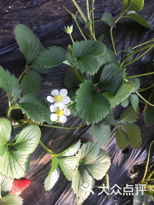 mmm8008上传的图片