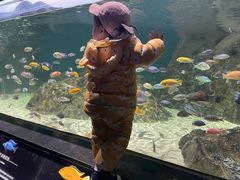 -江和美海洋公园