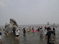 -碧海金沙