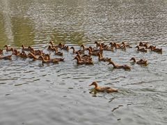 -野鸭湖国家湿地公园