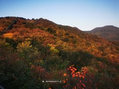 -香山公园