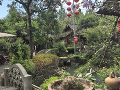 -青城甲(青城山店)