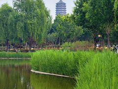 -西海子公园