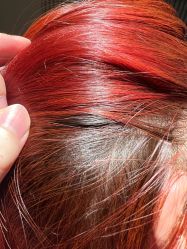 -PE SALON 
