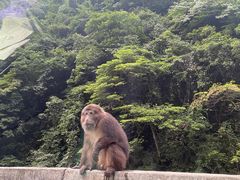 -西岭雪山大飞水景区