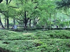 -上海交通大学医学院附属瑞金医院(总院)