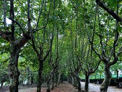 -华东政法大学(松江校区)