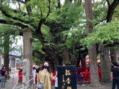 -浮来山风景区
