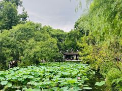 -拙政园