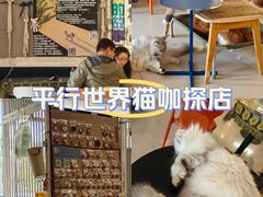 -平行世界·猫咖(首经贸店)