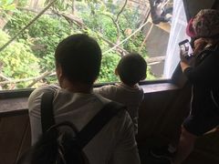 -威勒比开放式动物园