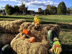 -圣露庄园·露营·烤肉·亲子