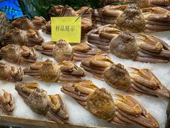 -初色海鲜自助(万丰路店)