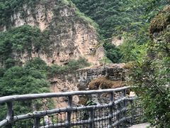 -十渡东湖港风景区