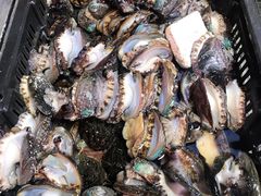 大鲍鱼-船奇蒸汽海鲜·闽菜(八市海鲜总店)