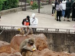 -昆明动物园
