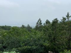 -阳台山自然风景区