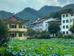 -地心探险极地