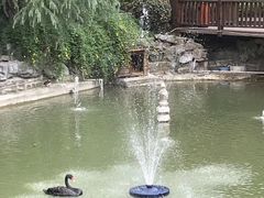 -上海虹桥迎宾馆