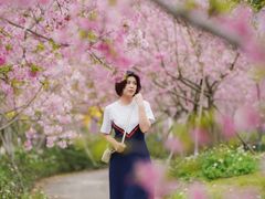 -天适樱花悠乐园