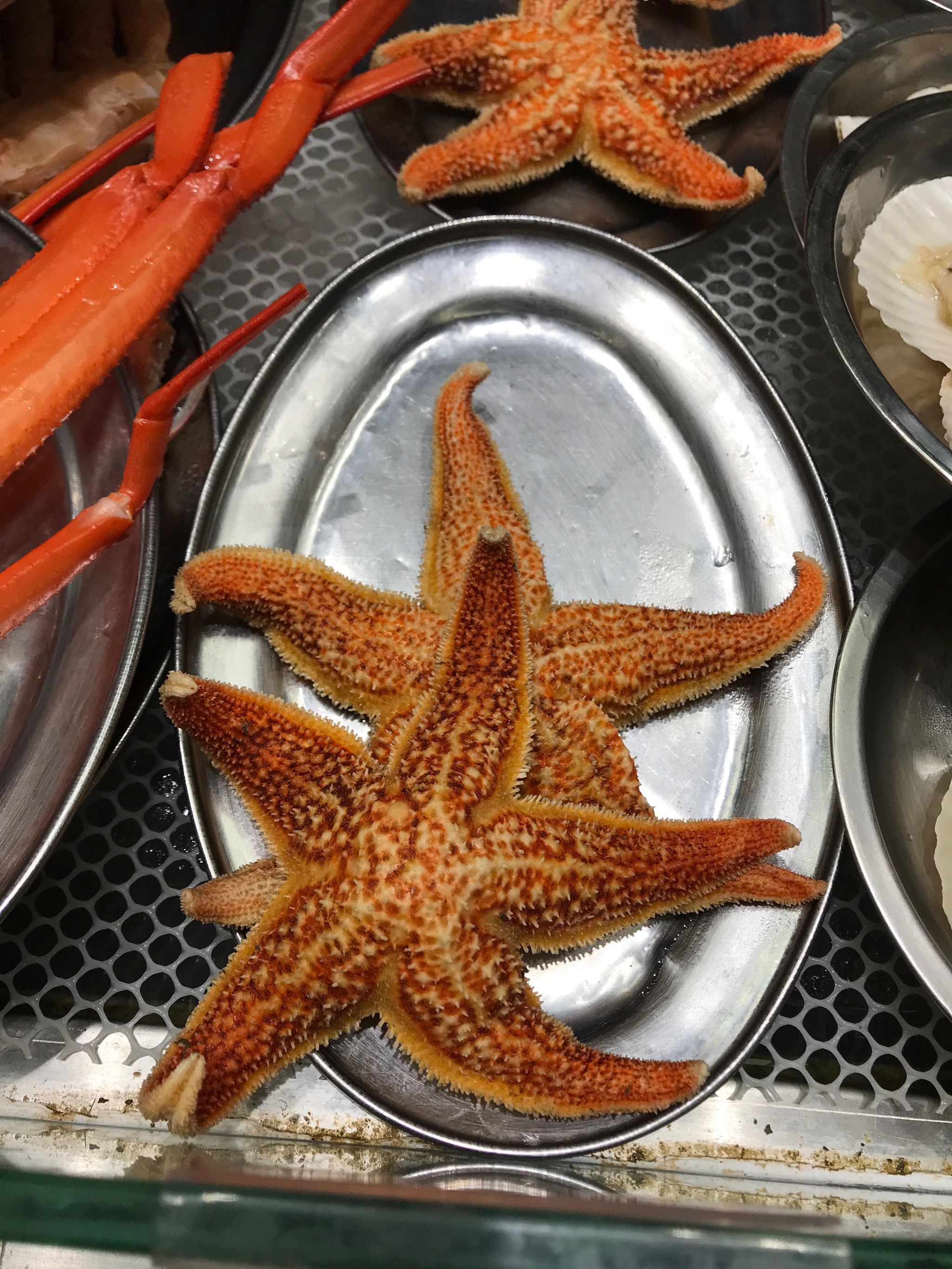 大家觉得海星好吃吗?