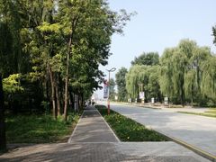 -野鸭湖国家湿地公园