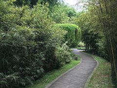 -望江楼公园