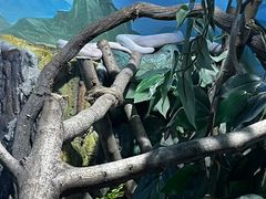 -石家庄市动物园