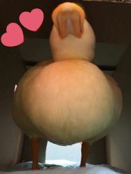 -Hair Glam 格拉姆造型旗舰店