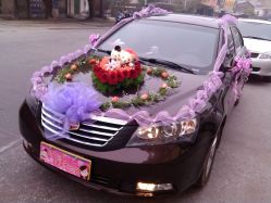 点击看大图 -蚂蚁婚车