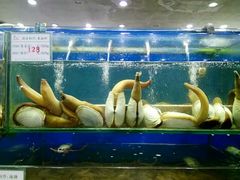 -海岛渔村大酒店(云霄路店)