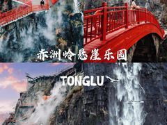 -大奇山国家森林公园