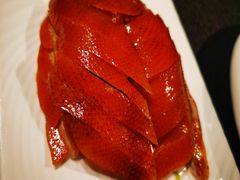 大董酥不腻烤鸭-大董(阜成路店)