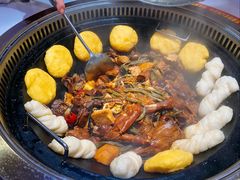 铁锅炖大鹅-徐家屯铁锅炖(宋家庄店)