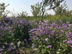 -古柏渡飞黄旅游区