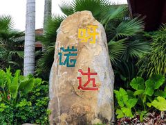 -呀诺达热带雨林