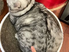 -H立方实景剧情密室(天河旗舰店)