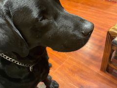 -陀岗美食·云南藏式特色餐厅