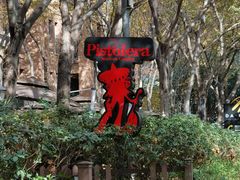 -Pistolera Mexican Cantina女枪手墨西哥餐厅(碧云路店)