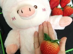 -黑池口感烘焙·生日蛋糕(坂田店)