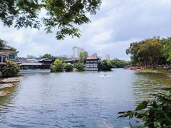 -荔湾湖公园