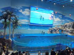 -福州罗源湾海洋世界旅游区