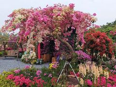-东莞植物园