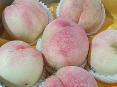 -南汇水蜜桃采摘(大团店)