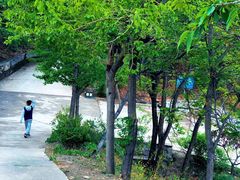 -北京鹫峰国家森林公园