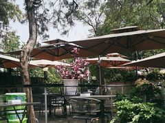 -蘇河湾·新鲁菜·泰山宴(泰山店)