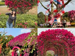 -东莞植物园