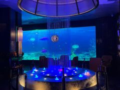 -鸿韵养生(白玉兰店)